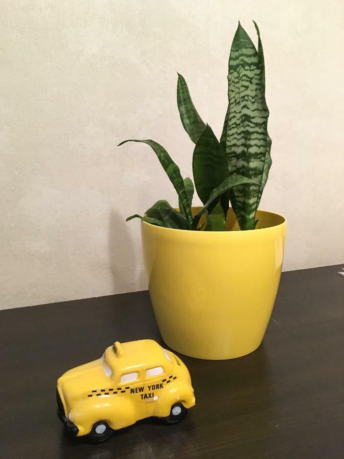 Sunflower Apartment Near Kiev Airport & Railway Station & Center City! Εξωτερικό φωτογραφία