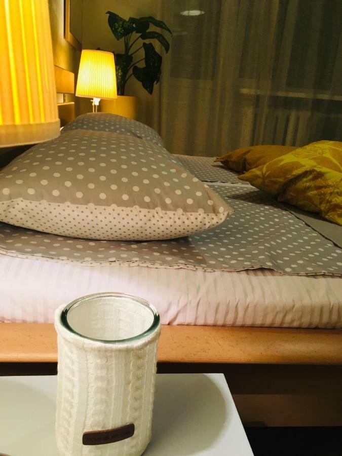 Sunflower Apartment Near Kiev Airport & Railway Station & Center City! Εξωτερικό φωτογραφία
